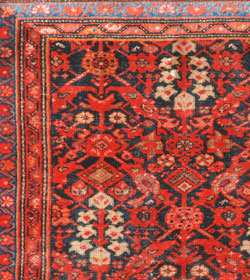 MALAYER
