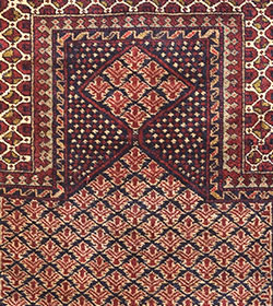 BELUCI