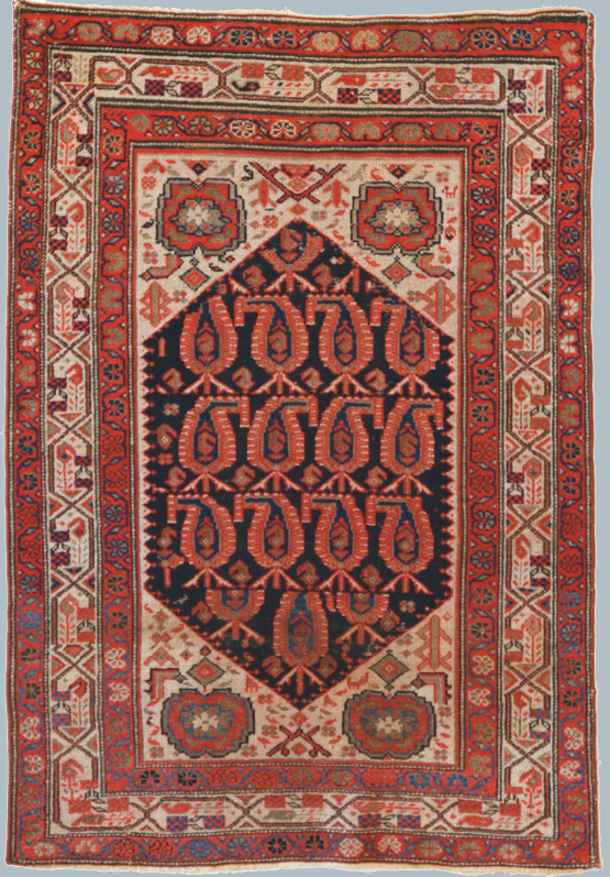 MALAYER