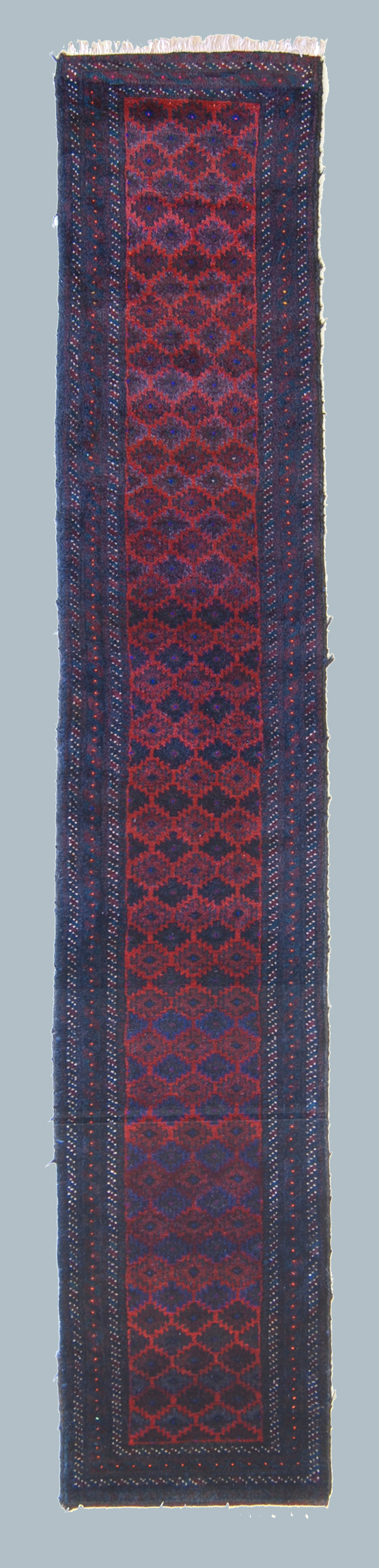 BELUCI