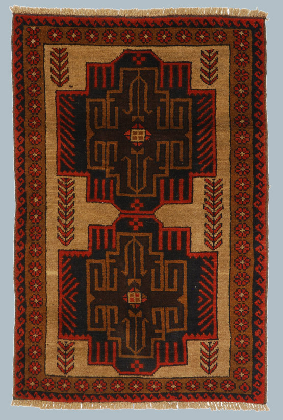 BELUCI