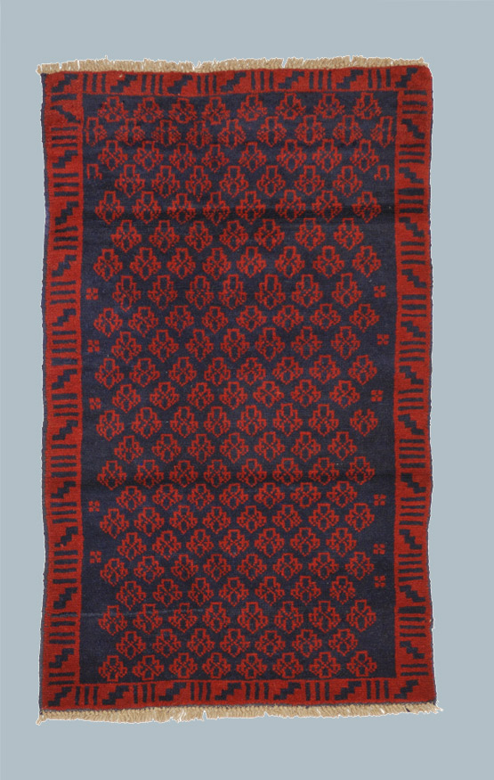 BELUCI