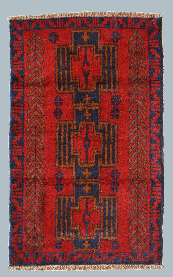 BELUCI
