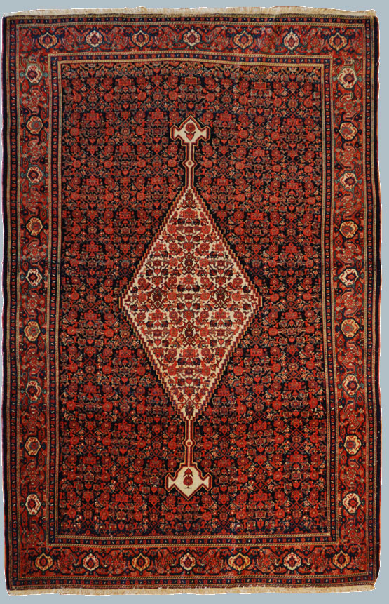 SENNEH SETTE COLORI