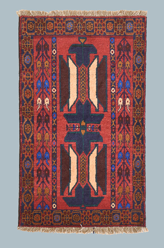 BELUCI