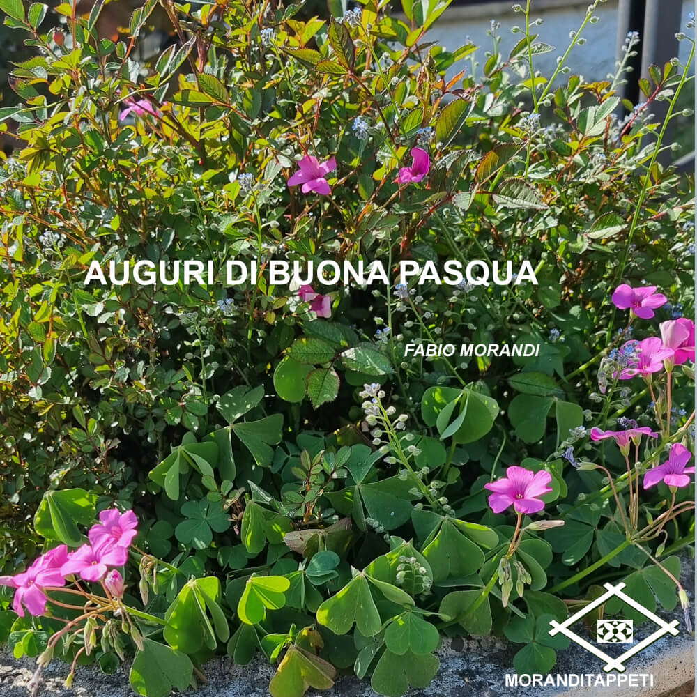 AUGURI-Buona-Pasqua