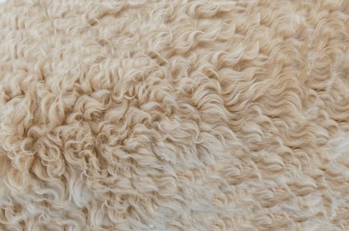 tappeti in lana naturale 