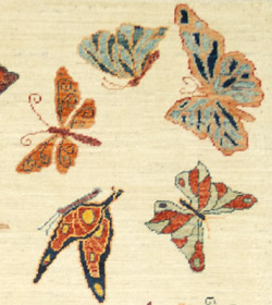 HYDERABAD BUTTERFLY